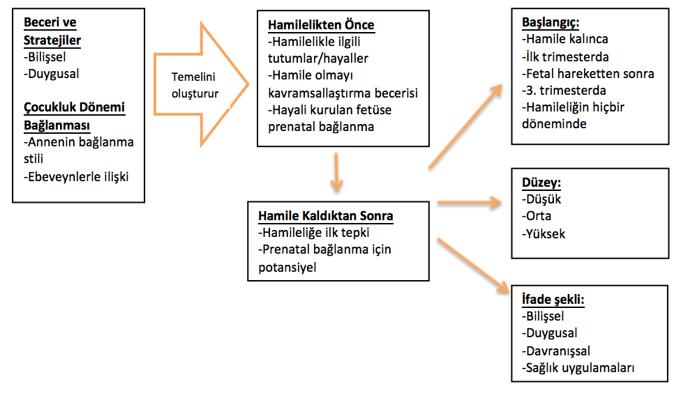 bağ kurmak ne demek